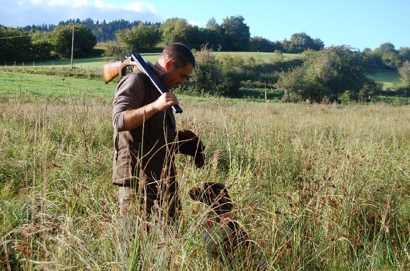 Chasse aux petits et gros gibiers